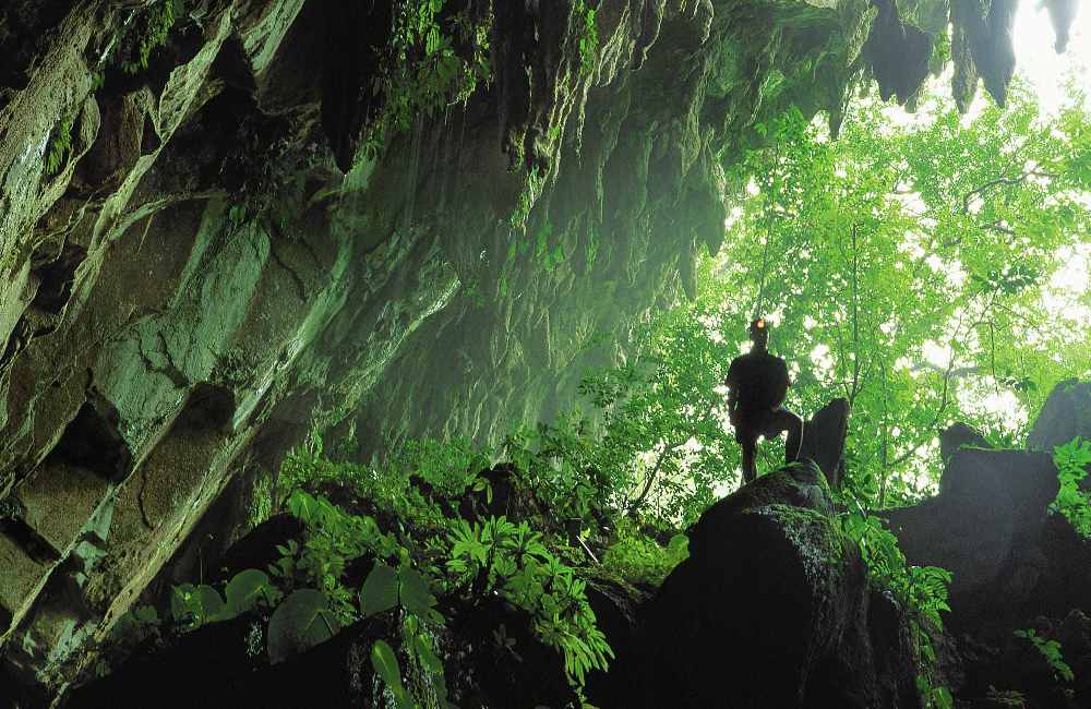 Mulu National Park