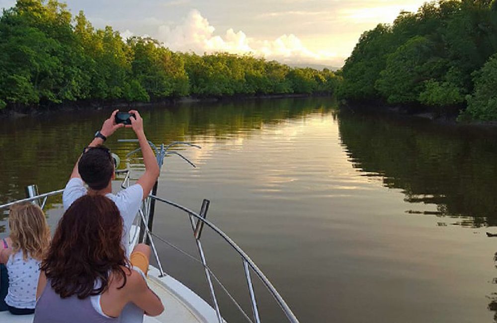 Sarawak Secrets with Santubong Mangrove Cruise