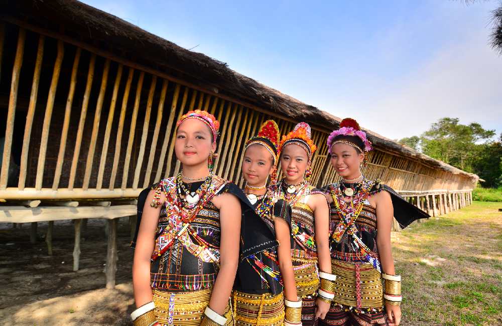 Splendours of Borneo