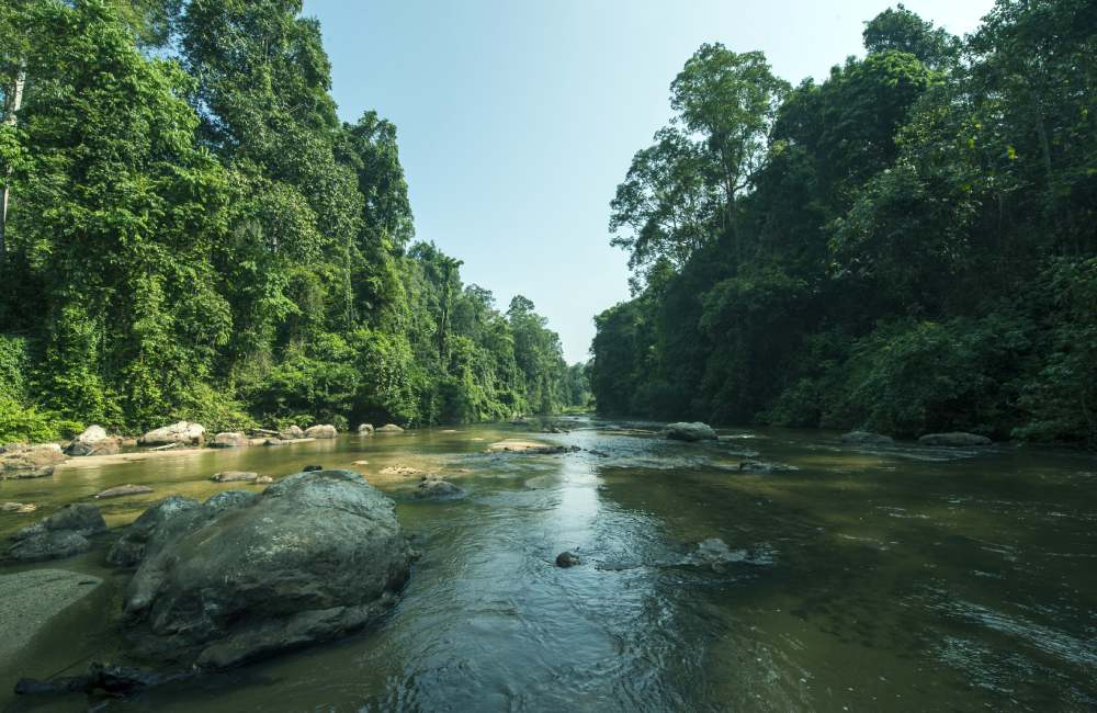 Ulu Muda: A Date With Nature